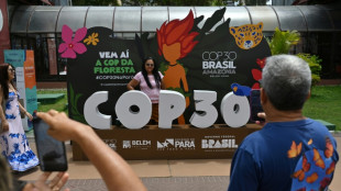 PF revela irregularidades na seguran&ccedil;a privada da COP30