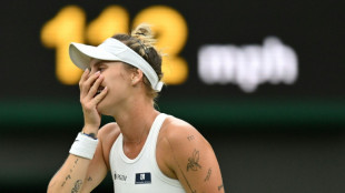 Unseeded Vondrousova reaches Wimbledon semis