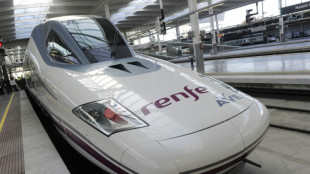 El gobierno de Espa&ntilde;a bloquea la opa h&uacute;ngara sobre el fabricante de trenes Talgo