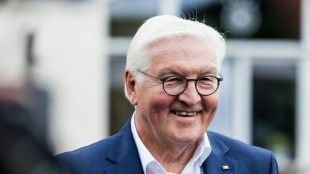 Steinmeier bei EM-Er&ouml;ffnungsspiel im Stadion