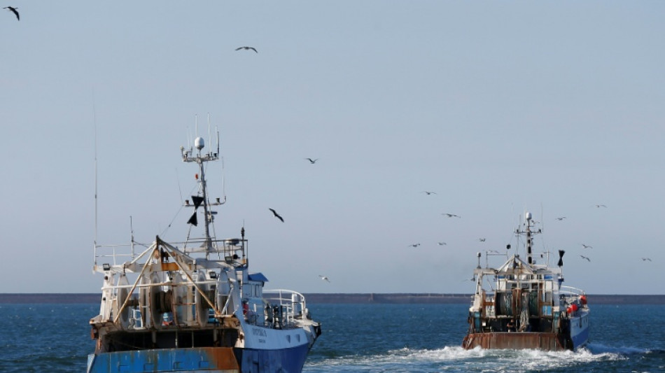 P&ecirc;che, cannabis et coca&iuml;ne: dans les ports fran&ccedil;ais, le poison de la drogue