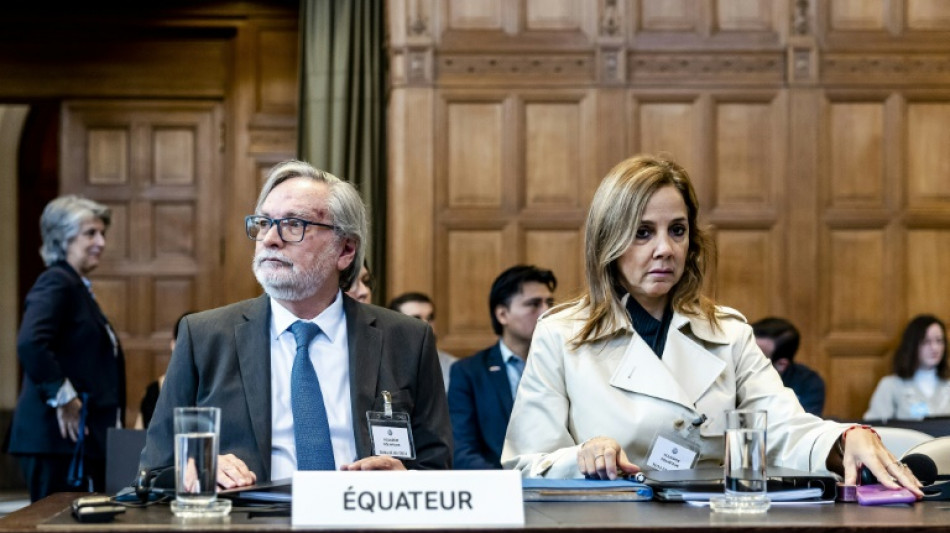 El asalto a la embajada en Ecuador "debe tener consecuencias", afirm&oacute; M&eacute;xico