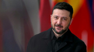 Zelensky urges EU to agree frozen assets loan 