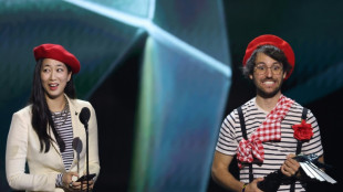 French indie title 'Clair Obscur' dominates Game Awards