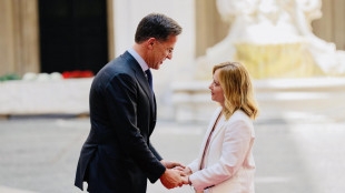 Meloni, 'tensioni sulla Nato non positive, va rafforzata'