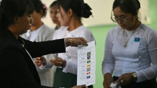 Myanmar pro-military party claims huge win in first phase of junta-run poll