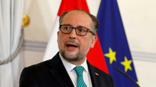 El ministro de Relaciones Exteriores de Austria ocupar&aacute; temporalmente el cargo de jefe de gobierno