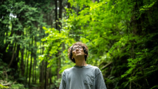 Marx d&eacute;croissant: la th&egrave;se inattendue du Japonais Kohei Saito