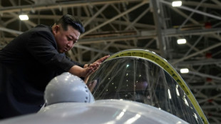Kim meets Russian defence minister, inspects missile and warship