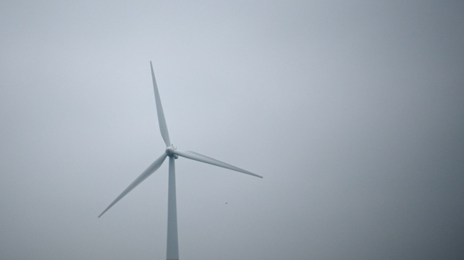Castex lance deux premiers projets de parcs éoliens flottants en Méditerranée