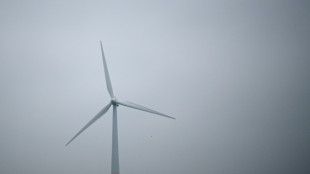 Castex lance deux premiers projets de parcs éoliens flottants en Méditerranée