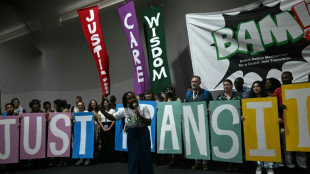 La COP32 sobre clima se hará en Etiopía en 2027, según un grupo africano en la COP