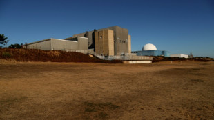 UK govt to plough extra &pound;1.3bn into nuclear plant