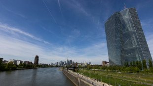 Eurozone economy shrinks as inflation falls further