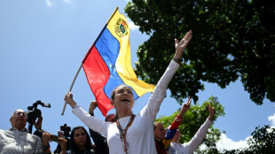 Siete pa&iacute;ses de la UE urgen a Venezuela a publicar las actas electorales