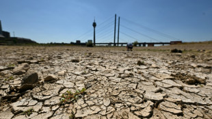 Niedrigwasser: Rheinpegel sinken an mehreren Orten auf Tiefststand