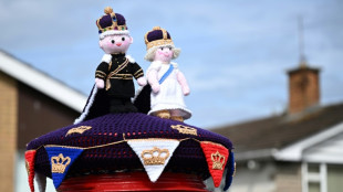 Knit my king: UK 'yarnbombers' crochet for the coronation