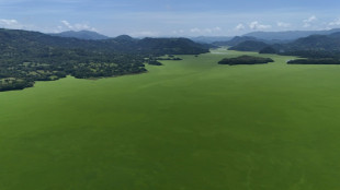 Salvador: un immense lac envahi d'algues vertes, pêche et tourisme à l'arrêt