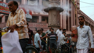 India vota en la &uacute;ltima fase de sus maratonianas elecciones