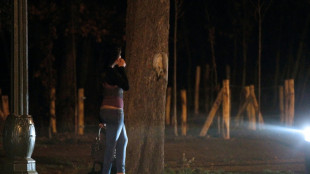 Stress post-traumatique, d&eacute;pression, violences : l'&eacute;tat de sant&eacute; "alarmant" des prostitu&eacute;es