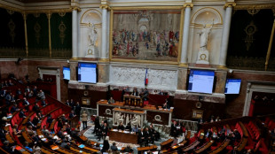 La "souveraineté énergétique" en débat à l'Assemblée, sur fond de menace de censure du RN