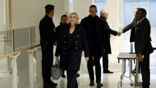La ultraderecha francesa denuncia una "voluntad" judicial de apartar a su l&iacute;der Le Pen de la vida pol&iacute;tica