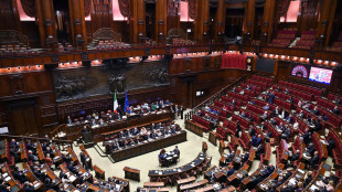 Mozione maggioranza glissa su riarmo, "rafforzare difesa"
