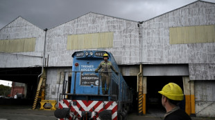 Gobierno anuncia que privatizar&aacute; principal empresa de trenes de carga de Argentina