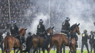 Ausschreitungen in Mannheim: 35 Polizisten verletzt