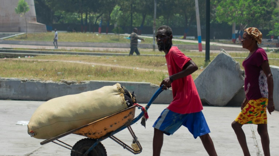 Cerca de 100.000 personas huyeron de Puerto Pr&iacute;ncipe en un mes, seg&uacute;n la ONU