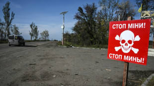 Landminen-Monitor prangert Russlands Einsatz der Sprengs&auml;tze in der Ukraine an