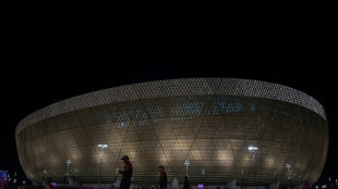 Mondial: quatre r&ecirc;ves aux portes de la finale... ou du d&eacute;sert