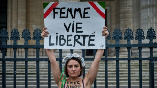 Ir&aacute;n califica de "inmoral" el comportamiento de la estudiante que se desnud&oacute; en p&uacute;blico