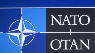 Finnlands Pr&auml;sident spricht in Istanbul mit Erdogan &uuml;ber Nato-Beitritt