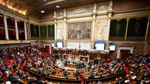 Postes-cl&eacute;s &agrave; l'Assembl&eacute;e: des urnes trop pleines viennent perturber le scrutin