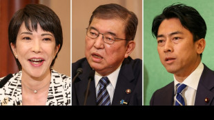 El surfista, la nacionalista, el hombre que susurraba a Trump... Jap&oacute;n busca primer ministro