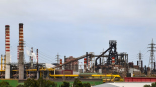 ArcelorMittal wants 'amicable' deal on Italy steelworks