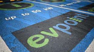 UK electric car sales hit record high in 2025: industry