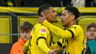 Allemagne: S&eacute;bastien Haller inscrit son premier but en Bundesliga avec Dortmund