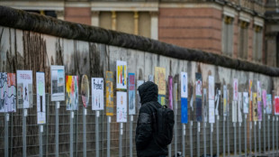 Una Alemania en crisis celebra los 35 a&ntilde;os de la ca&iacute;da del Muro de Berl&iacute;n 