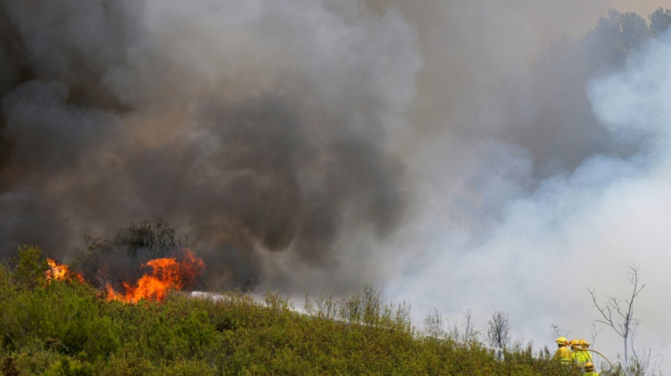 Sánchez propone un pacto nacional por "emergencia climática" en plenos incendios en España
