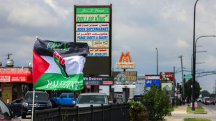 La "Peque&ntilde;a Palestina" de Chicago recibe con decepci&oacute;n a la Convenci&oacute;n Dem&oacute;crata