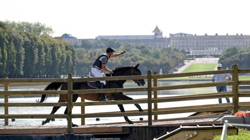 Bien-&ecirc;tre animal: l'&eacute;quitation veut se remettre en selle aux JO-2024