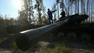 Ucrania, un destino cada vez m&aacute;s atractivo para los "turistas de guerra"