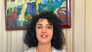 Iranian Nobel winner Narges Mohammadi begins hunger strike in prison: family