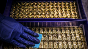 Gold hits record, dollar drops as tariff fears dampen sentiment