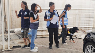 Peste suina, controlli della Asl allo sbarco a Porto Torres