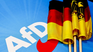 Inchiesta Dpa, 'chat interne dimostrano alleanza Ppe-AfD a Bruxelles'