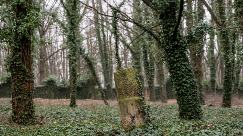 El "cementerio de los locos" de Praga esconde leyendas bajo la hiedra