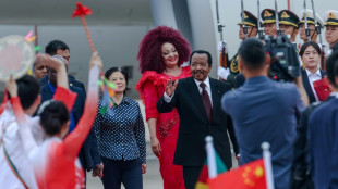 China recibe a una veintena de gobernantes africanos para hablar de cooperaci&oacute;n